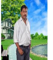 B Pandey
